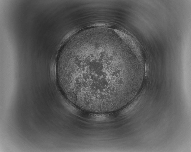 X0000113310349200909211146