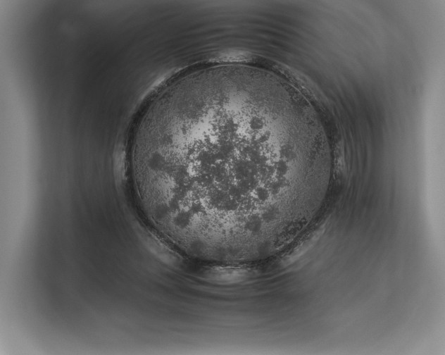 X0000113310351200909211146