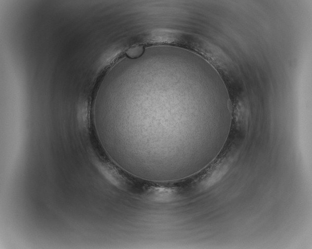 X0000113310352200909211146