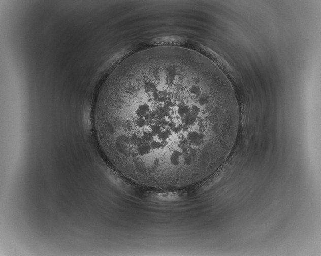 X0000113310353200909211146