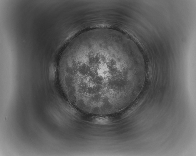 X0000113310355200909211146