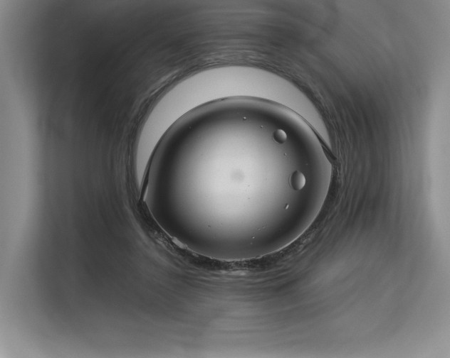 X0000113310356200909211146