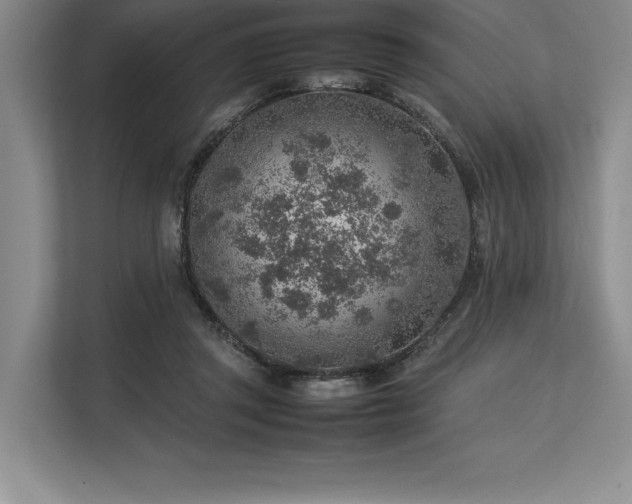 X0000113310357200909211146