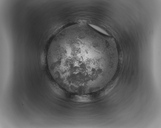 X0000113310359200909211146