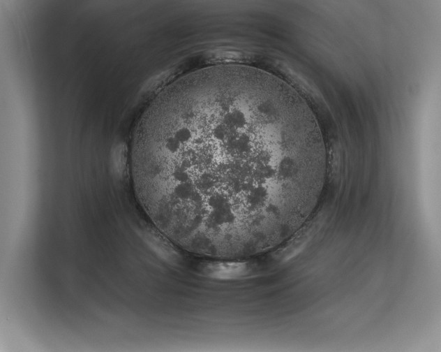 X0000113310361200909211147