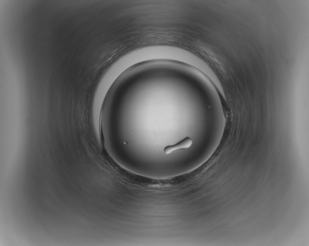 X0000113310362200909211147