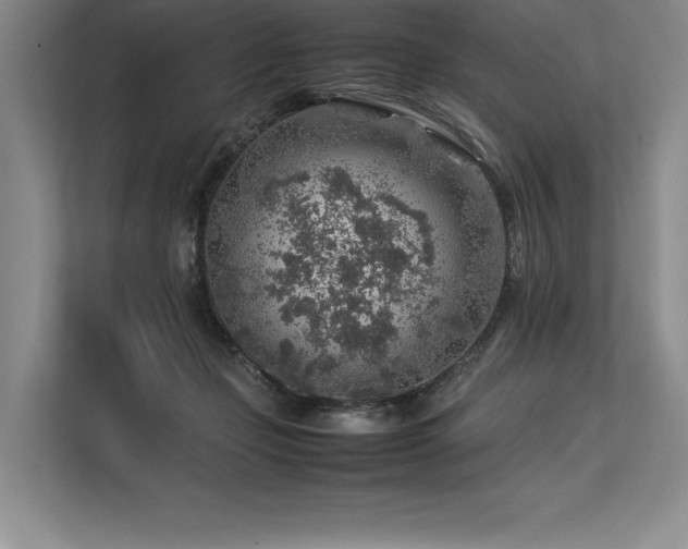 X0000113310365200909211147