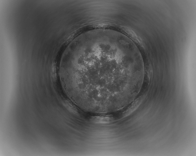 X0000113310366200909211147