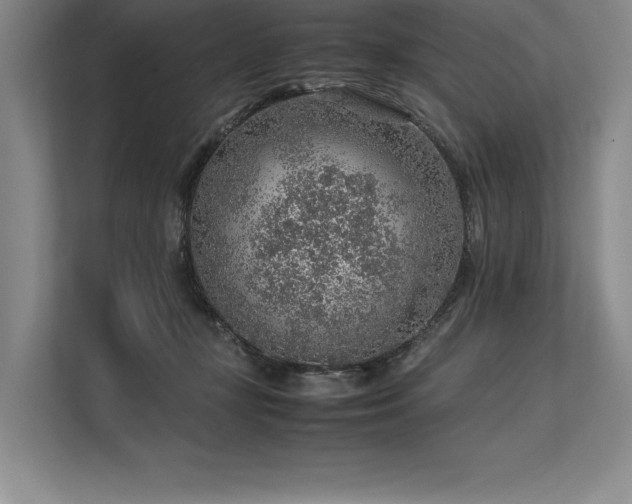 X0000113310367200909211147