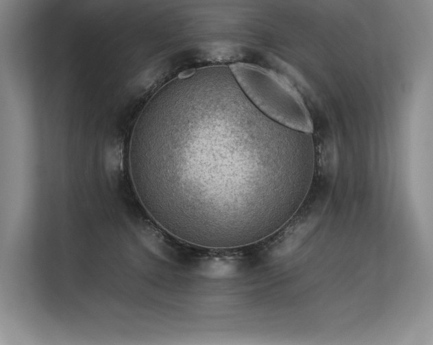 X0000113310368200909211147