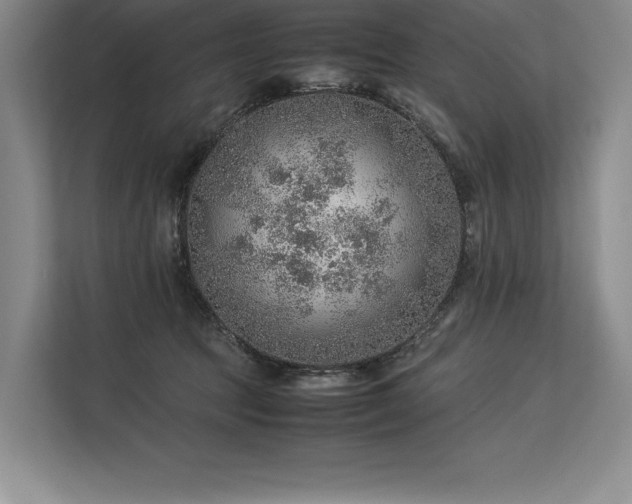 X0000113310369200909211147