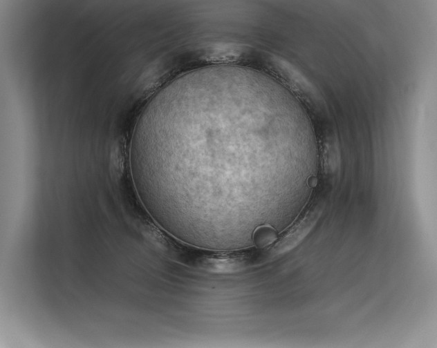 X0000113310370200909211147