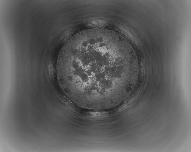 X0000113310371200909211147