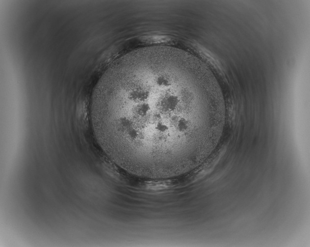 X0000113310373200909211147