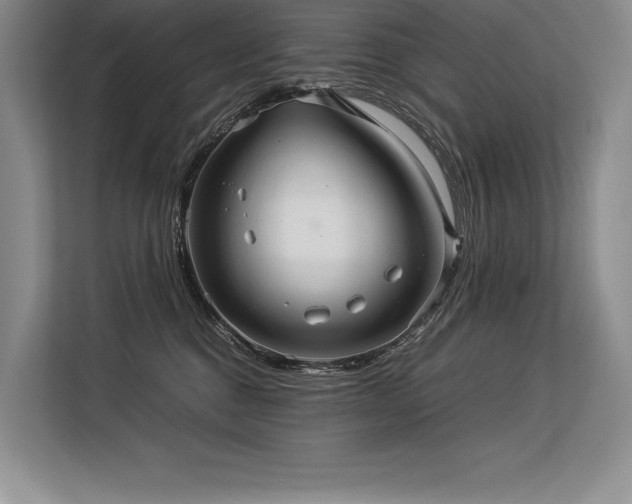 X0000113310376200909211147