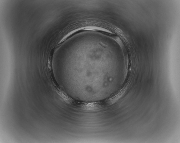 X0000113310382200909211147