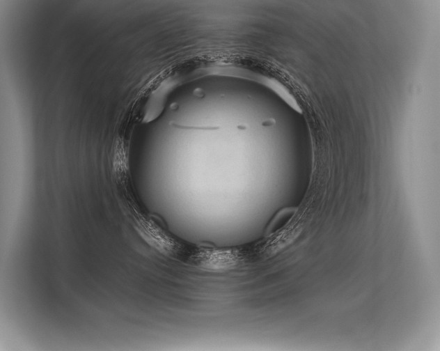 X0000113310384200909211147