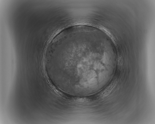 X0000113310385200909211146