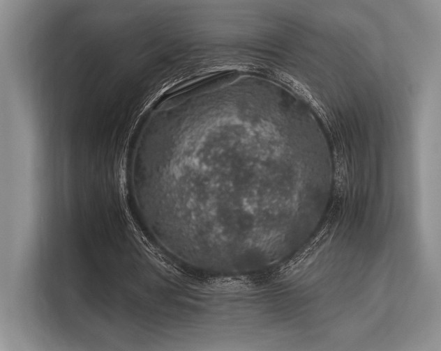 X0000113310386200909211146