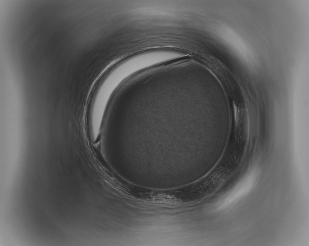 X0000113310387200909211146