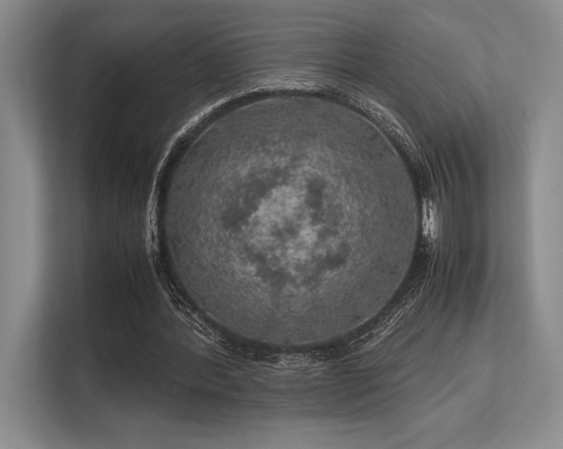 X0000113310388200909211146