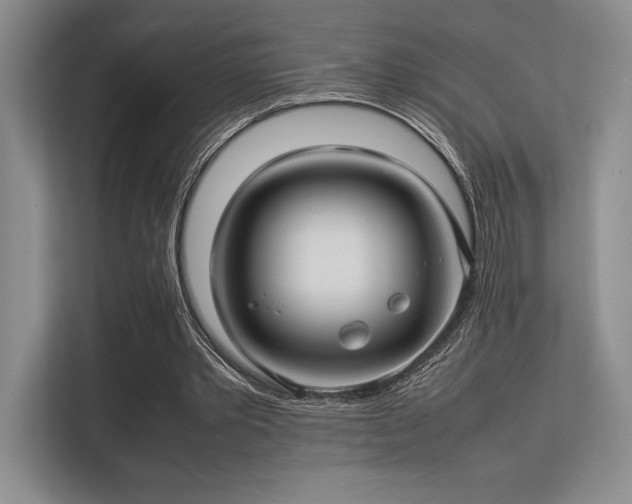 X0000113310389200909211146