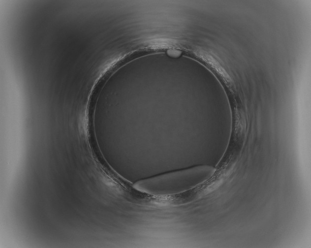 X0000113310391200909211146