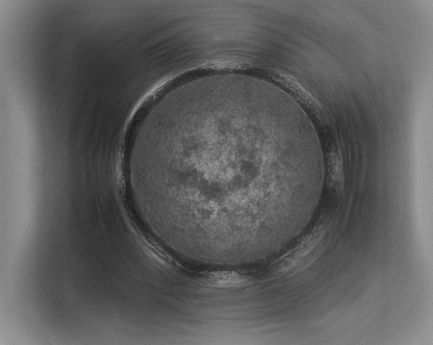 X0000113310392200909211146