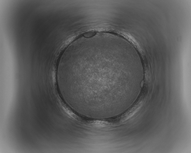 X0000113310393200909211146