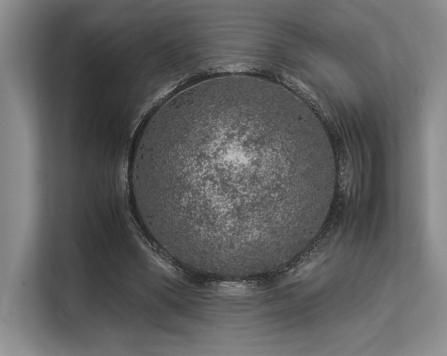 X0000113310394200909211146