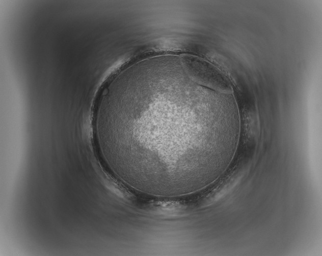 X0000113310395200909211146