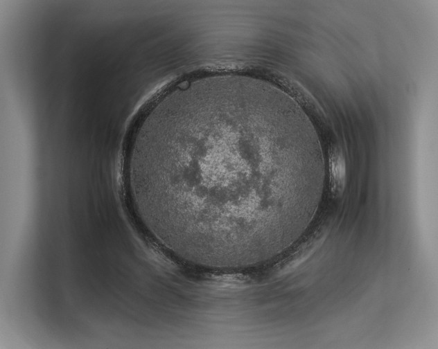 X0000113310396200909211146