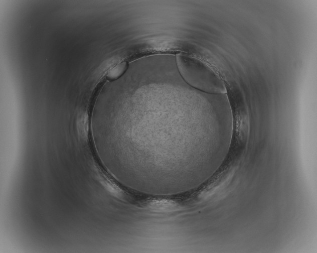 X0000113310397200909211146