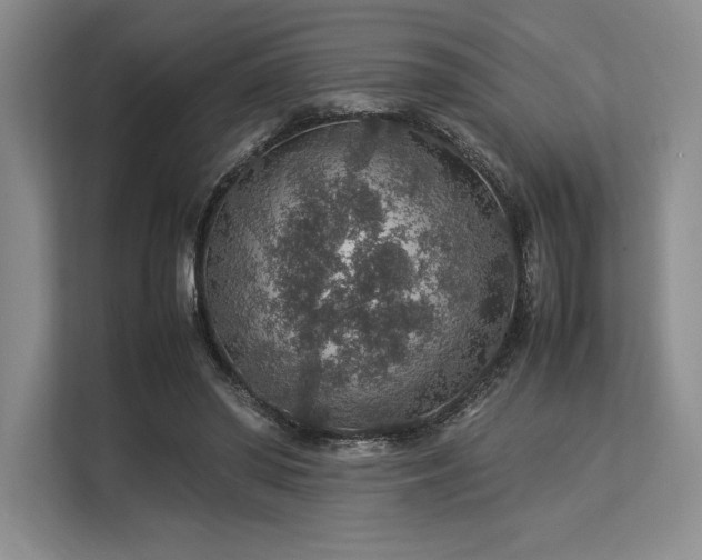 X0000113310398200909211146