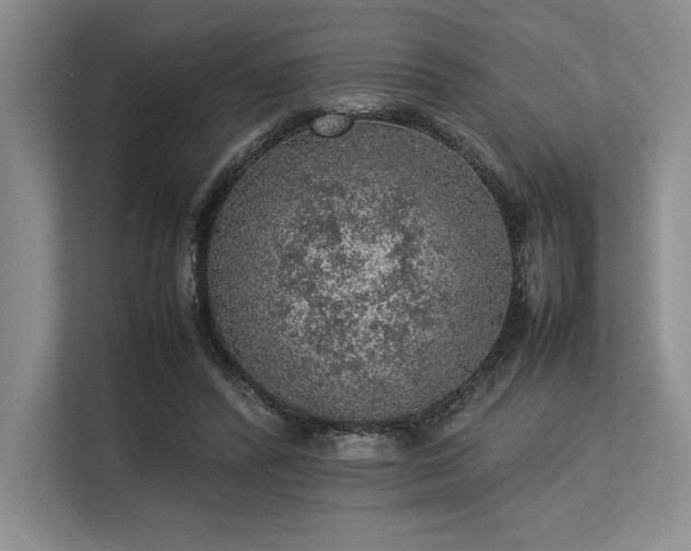 X0000113310400200909211146