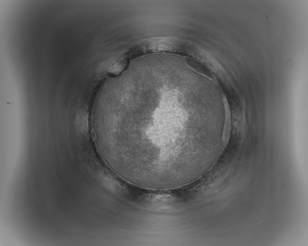 X0000113310401200909211146