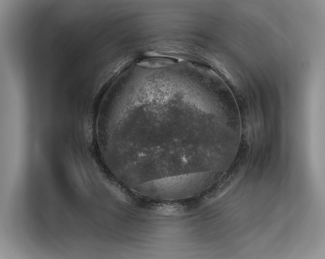 X0000113310402200909211146