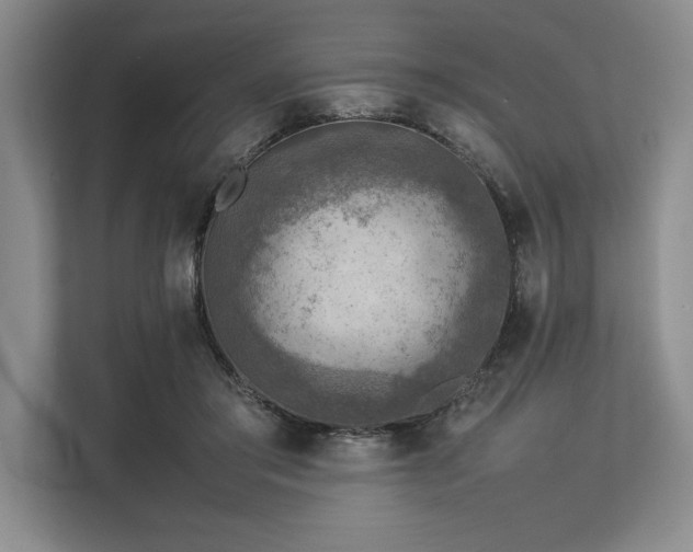 X0000113310405200909211146