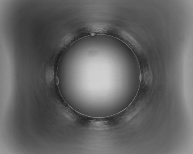 X0000113310407200909211146