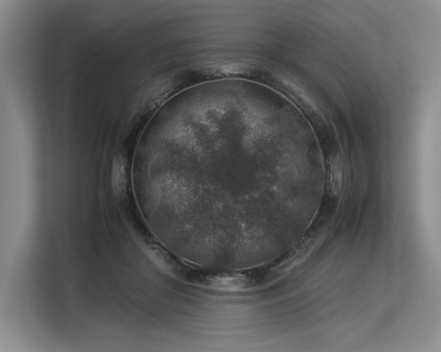 X0000113310410200909211146