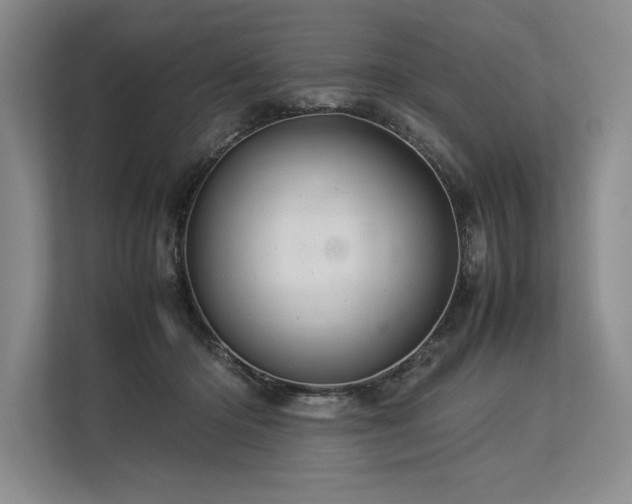 X0000113310414200909211146