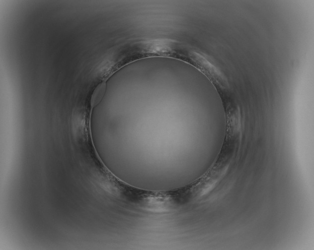 X0000113310415200909211146