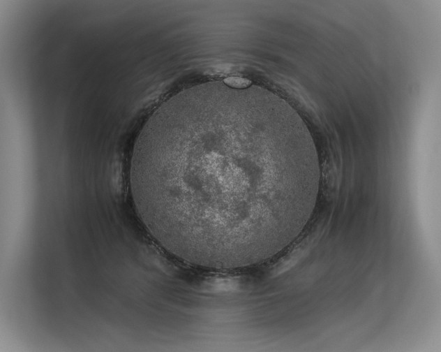 X0000113310416200909211146