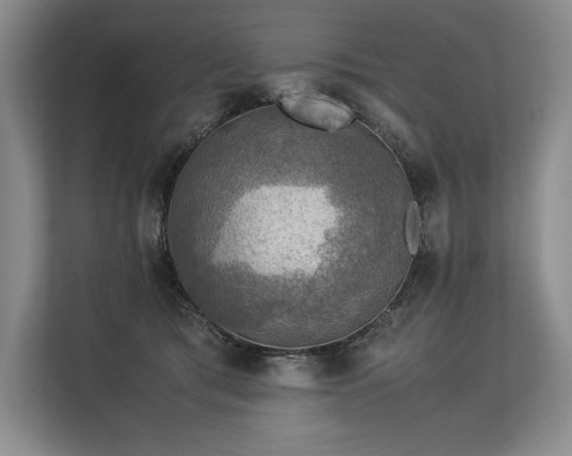 X0000113310417200909211146