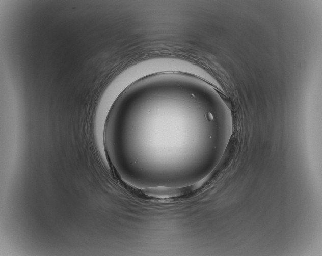 X0000113310419200909211146