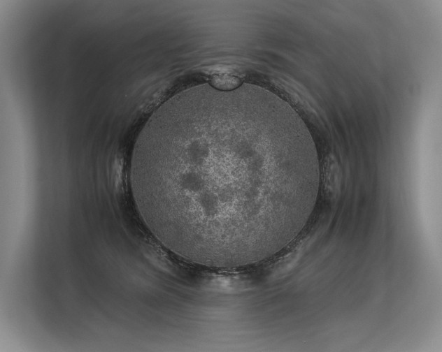 X0000113310420200909211146