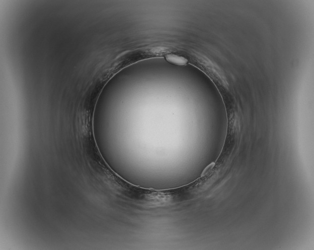 X0000113310421200909211146