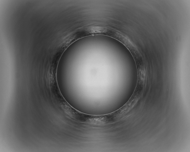 X0000113310422200909211146