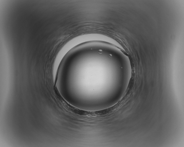 X0000113310423200909211146