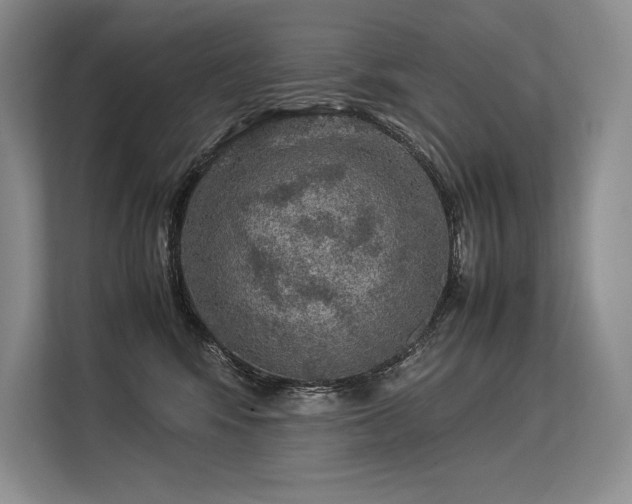 X0000113310424200909211146